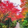 Фото профиля kyoto_714