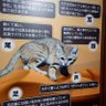 れん(ゾンビ除けに臨時鍵垢) profil fotoğrafı