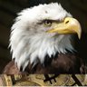 Profilbild von Crypto 50+