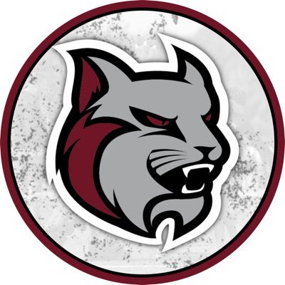 Anna Maria College Athletics's profile picture