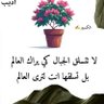 Ameen Abdallah profil fotoğrafı