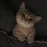 لیا profil fotoğrafı