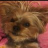 Profilbild von Bamboo