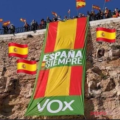 Jesús's profile picture
