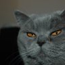 Profilbild von Mr. Perfect