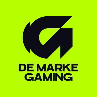 De Marke Gaming's profile picture