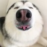 tinawangshen's profile picture