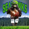 Go Hawks's profile picture