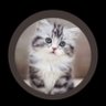 الريم's profile picture
