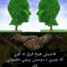 khan afghan profil fotoğrafı