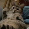 Darrick Johnston's profile picture