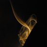 -- -- ---------'s profile picture
