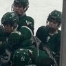Vince Felice's profile picture