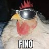 Sr pollo santiago profil fotoğrafı