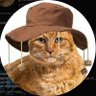Aussie Cat 🇦🇺 的头像