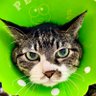 ユウ profil fotoğrafı