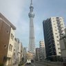 日惨's profile picture