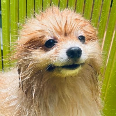 neukimdaero's profile picture