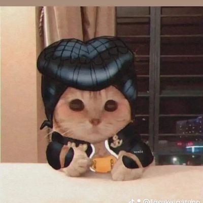 Cerdino_uwu's profile picture