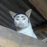 Profilbild von B Rad
