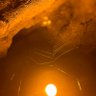 merve☀️ profil fotoğrafı