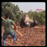 Israfil 的头像