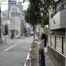 せな🐿 profil fotoğrafı