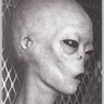 Фото профиля Skutečný mimozemšťan: Unidentified Fcuking Object