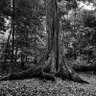 Фото профиля Ben Morgenbesser