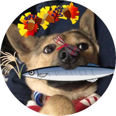 カ-チャ ver.1.5 犬オスカ's profile picture