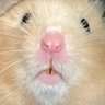 Profilbild von 眼鏡さん