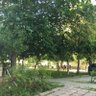 Yücel Dağlı profil fotoğrafı