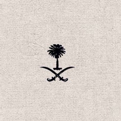 ALi_ALALi055's profile picture