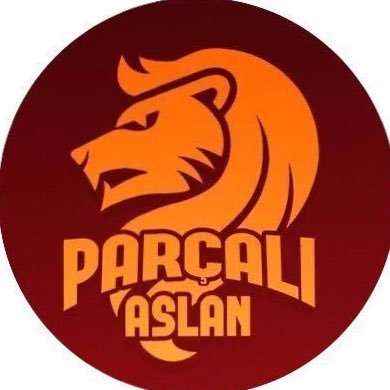 Parçalı Aslan's profile picture