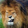 tarunt's profile picture