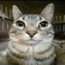 g's profile picture