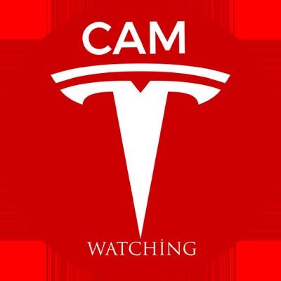 TeslaDashCam's profile picture