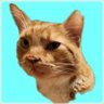 Profilbild von THE BARON