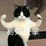 想象力测试's profile picture