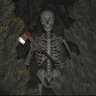 blank's profile picture