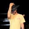 Camvibes 🐺's profile picture