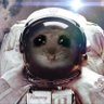 Laburn🐉 profil fotoğrafı