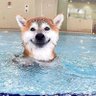 HaleLiberty 的头像