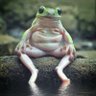 sad frog's profile picture