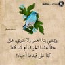 Profilbild von صقر الجزيرة