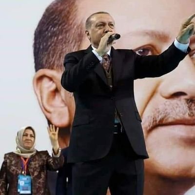 MaviMavioglu's profile picture