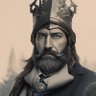 Afonso de camisa 👑's profile picture