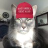 Фото профиля PeteTheCat™️