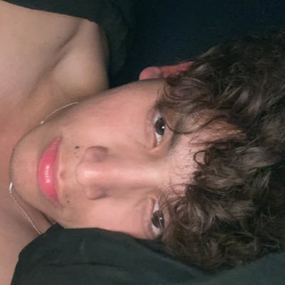Luisillo🦊's profile picture