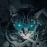 Profilbild von _user_corp_
